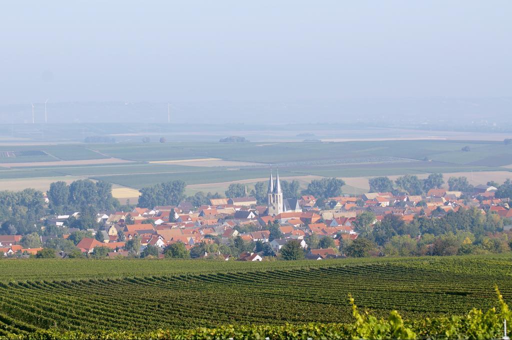 Dohlmuehle Hotel & Weingut Flonheim Exteriör bild